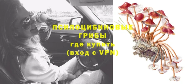 герыч Пестово