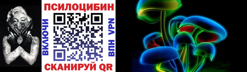 Галлюциногенные грибы Psilocybe  Балей 